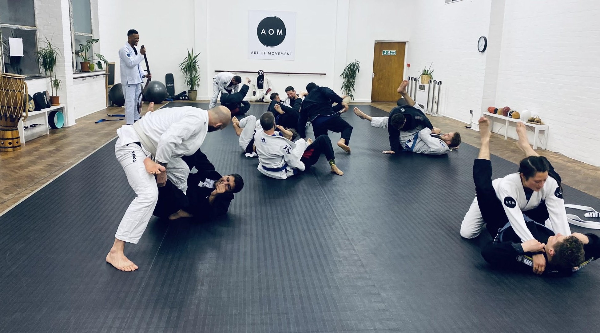 Brazilian Jiu Jitsu classes (adults)