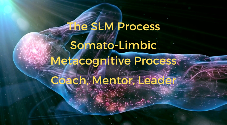 SLM-Process-Coach-Mentor-Leader