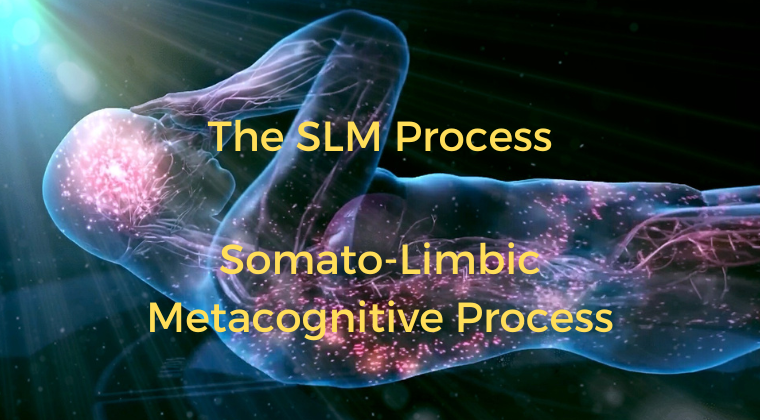 Somato-Limbic-Metacognitive-(SLM)Process
