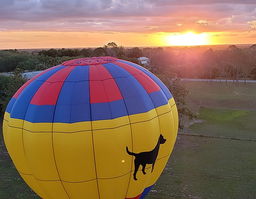 Air Hound Adventures (Hot Air Balloon Rides)