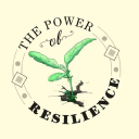 The Power of Resilience CIC