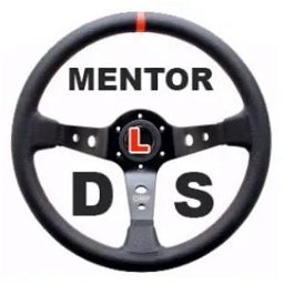 Mentor Driving School