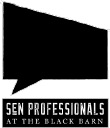 Sen Professionals logo