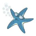 Aquastar Swimming School logo