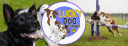 Lucky Dog Training