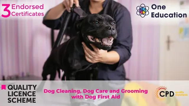 Dog Cleaning, Dog Care and Grooming with Dog First Aid Course