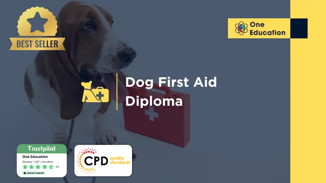 Dog First Aid Diploma Course