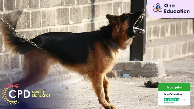 Dog Training - Stop Dog Attacks Course