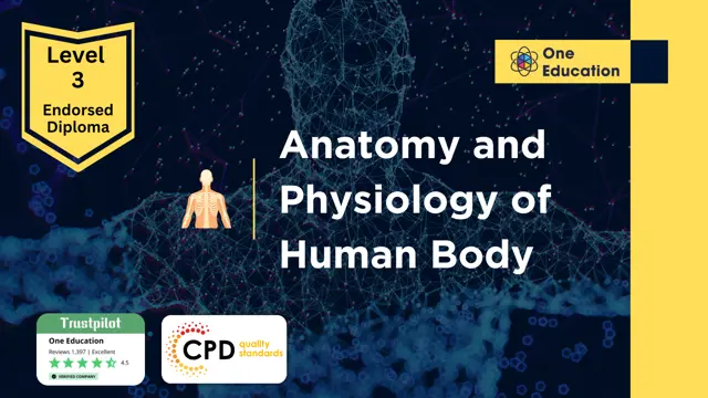 Level 3 Diploma in Anatomy and Physiology of Human Body - CPD Certified Course