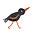 Orange Beak Studio logo