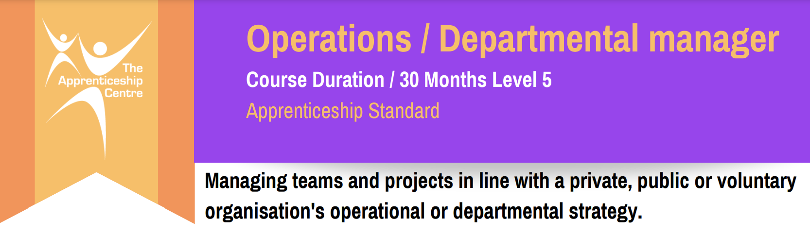 Operations/Departmental Manager Level 5