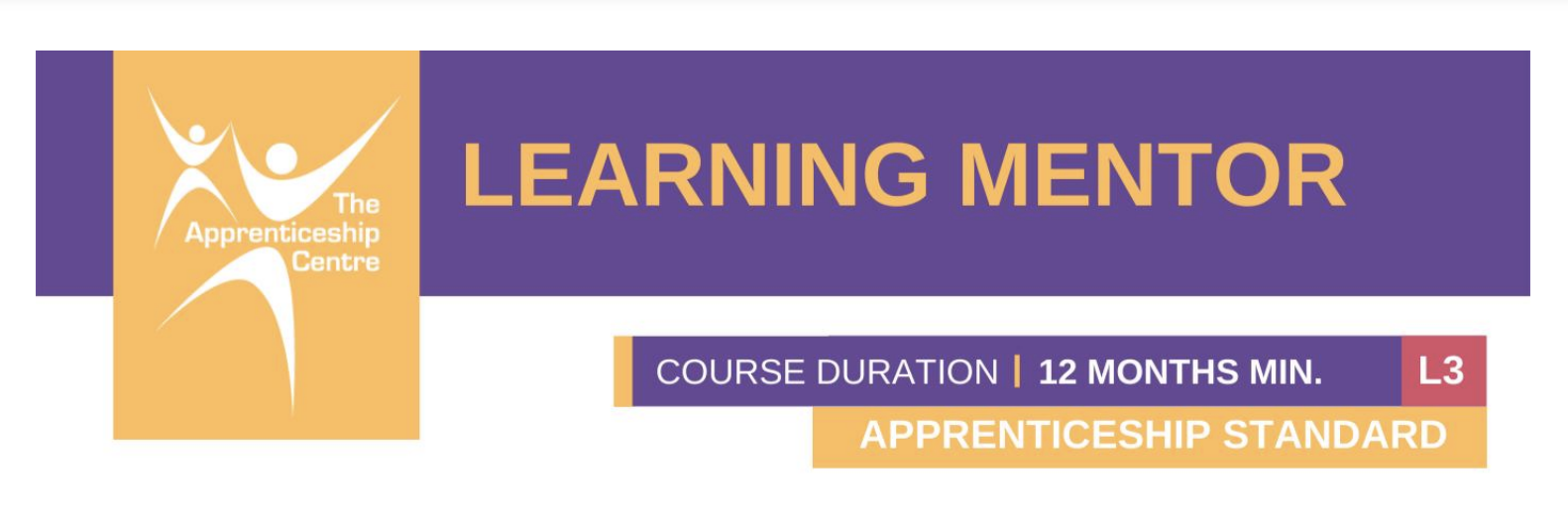 Learning Mentor Level 3