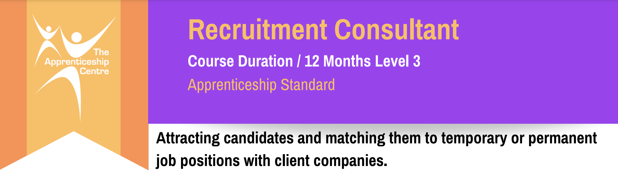 Recruitment Consultant Level 3