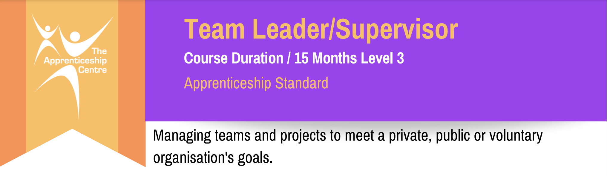 Team Leader/Supervisor Level 3