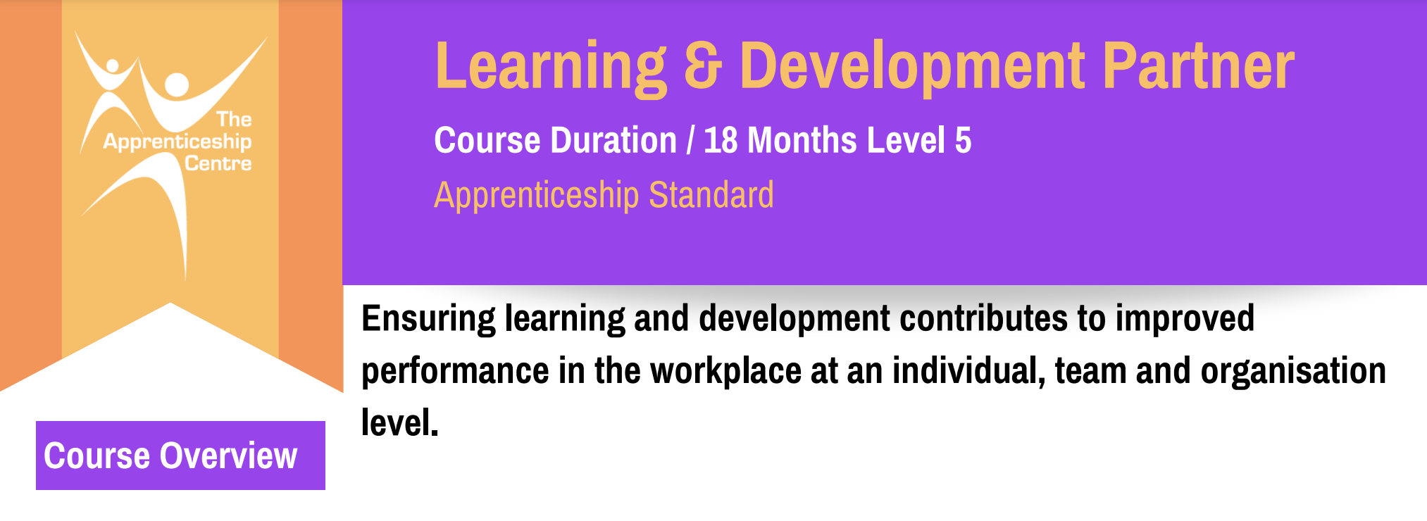 Learning & Development Level 5