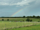 Low Farm Equestrian, Dog Paddock & Kennels