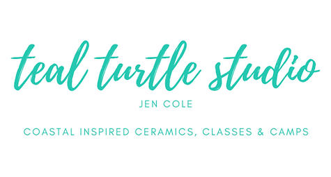 Teal Turtle Studio logo