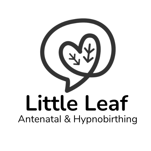 Little Leaf Antenatal and Hypnobirthing logo