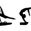 Kestrel Gymnastics Club logo