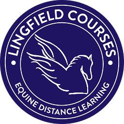 Lingfield Equine Distance Learning