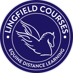 Lingfield Equine Distance Learning