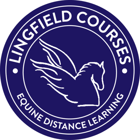 Lingfield Equine Distance Learning logo
