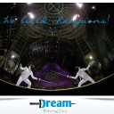 Dream Fencing Club logo