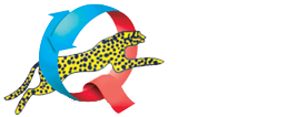 Quantum Leap Training Academy logo