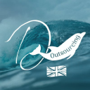 Virtual Dolphins logo