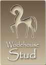Wodehouse Stud