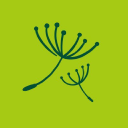 Dandelion Time logo