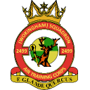 2499 Wokingham Squadron logo