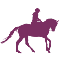 Plum Pudding Riding School logo