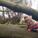 Sandfield Natural Play Centre