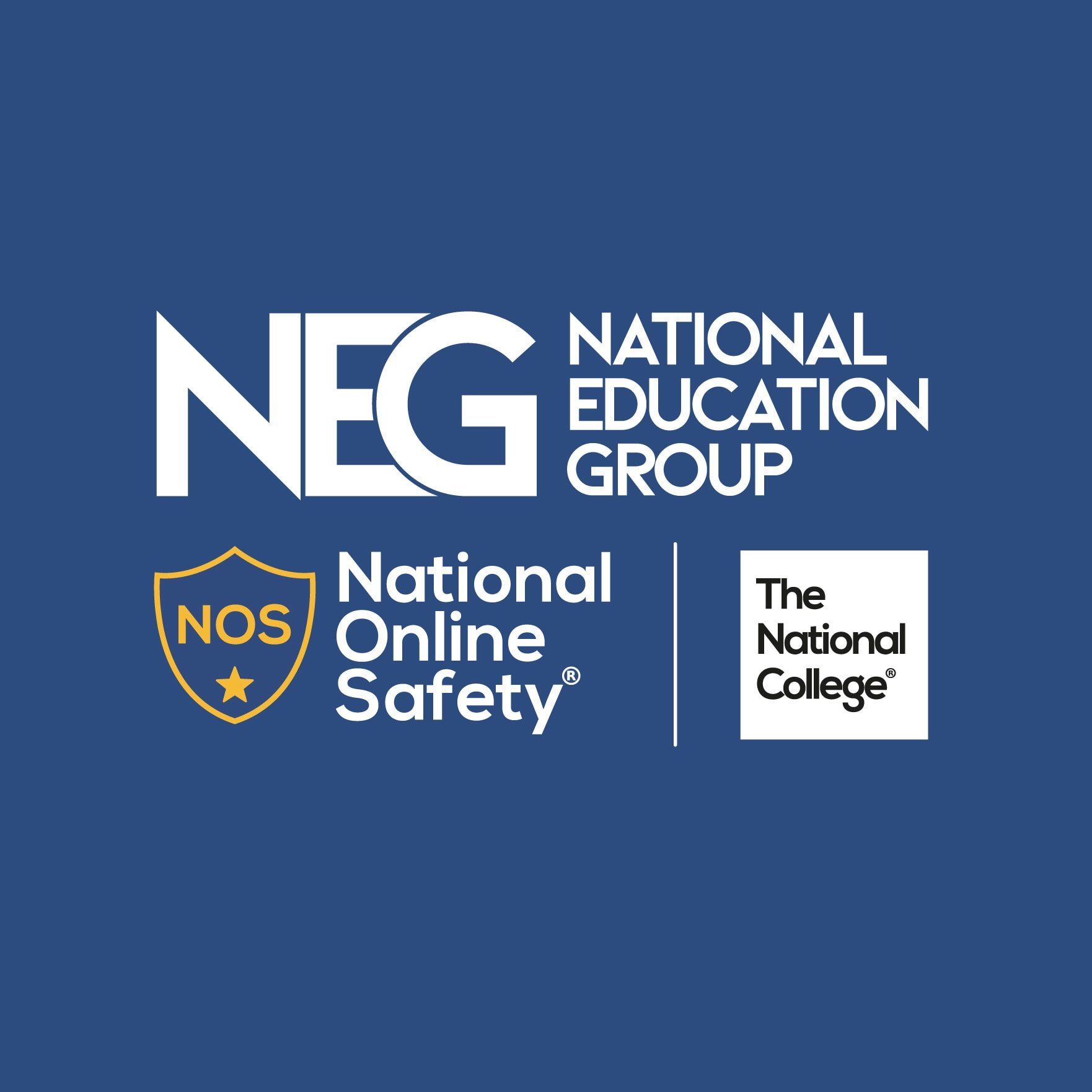 The National Education Group logo