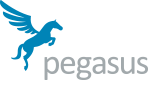 Pegasus Consulting & Training Services