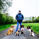 Damian Riley -  Dog Behaviourist and Training Services