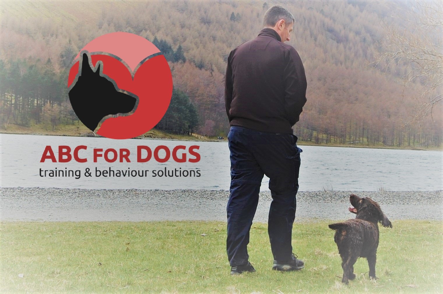 Abc For Dogs - Dog Behaviour And Dog Training