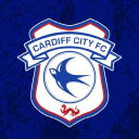 Cardiff City Stadium logo