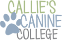 Callie'S Canine College