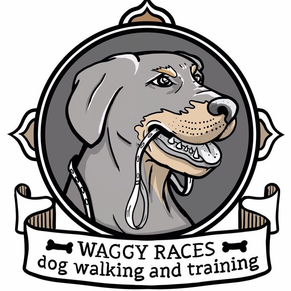 Waggy Races Dog Training & Walking logo