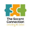 The Socent Connection logo
