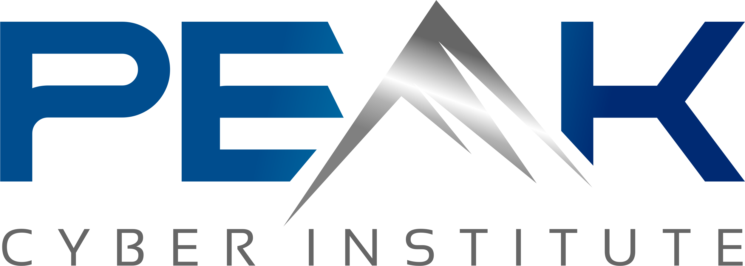 Peak Cyber Institute logo