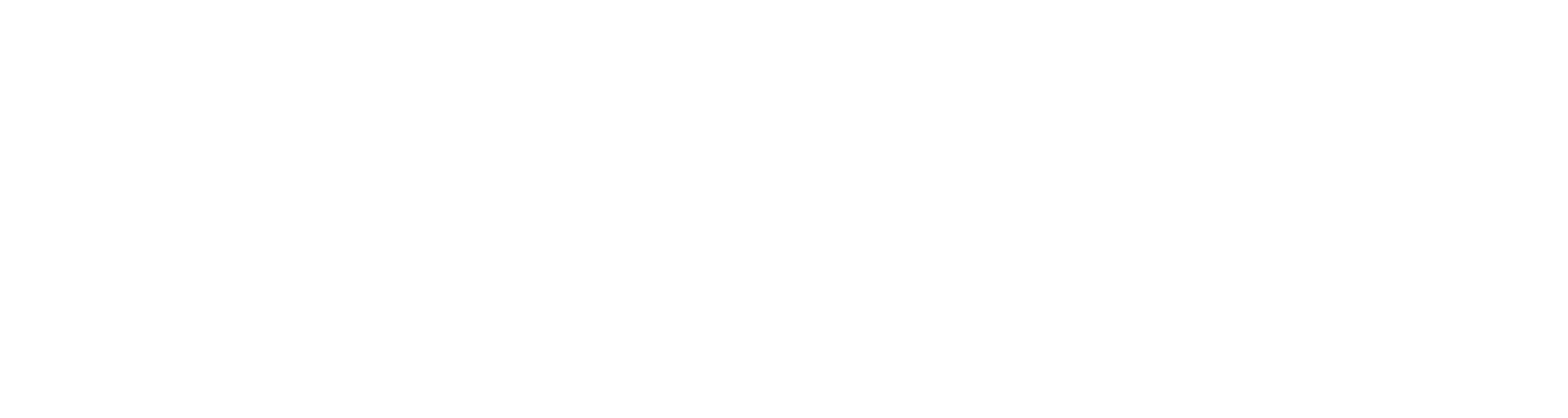 Swim Angels logo