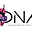 Dance Nation Academy logo