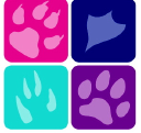 All4Paws - Dog-Walking And Pet Care In Bristol logo