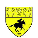 Newmarket Town Football Club logo