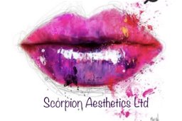 Scorpion Aesthetics Limited