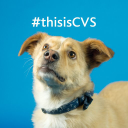 CVS (UK) Ltd logo