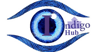 Indigo Hub logo